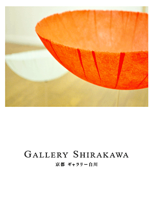 GALLERY SHIRAKAWA Press 2010